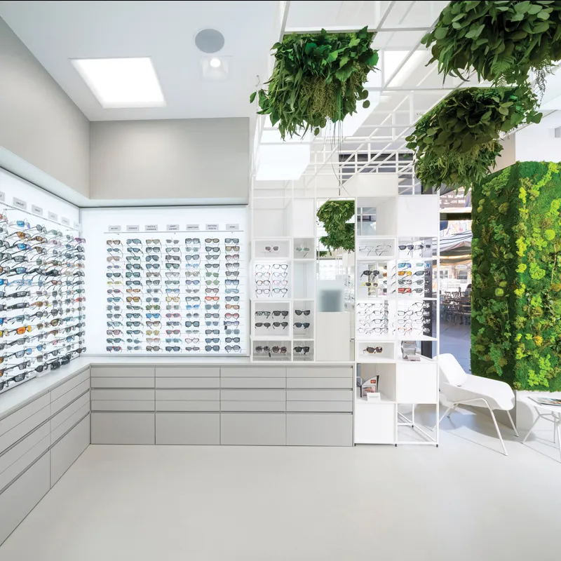 Zaboravite plastiku: Kako odabrati idealne biljke za ured i poslovni prostor (bez održavanja)