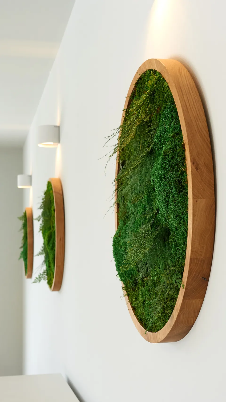 Dekorativna slika od mahovine