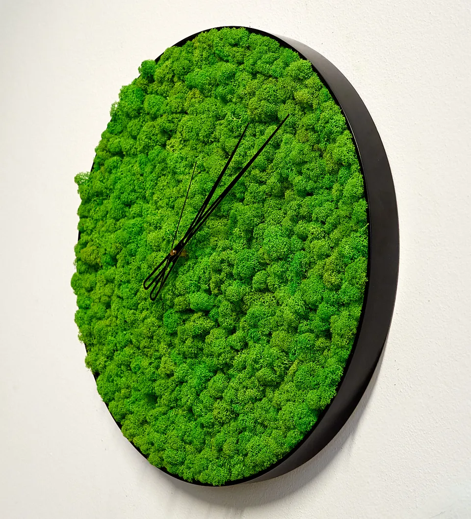 Zidni sat s biljkama