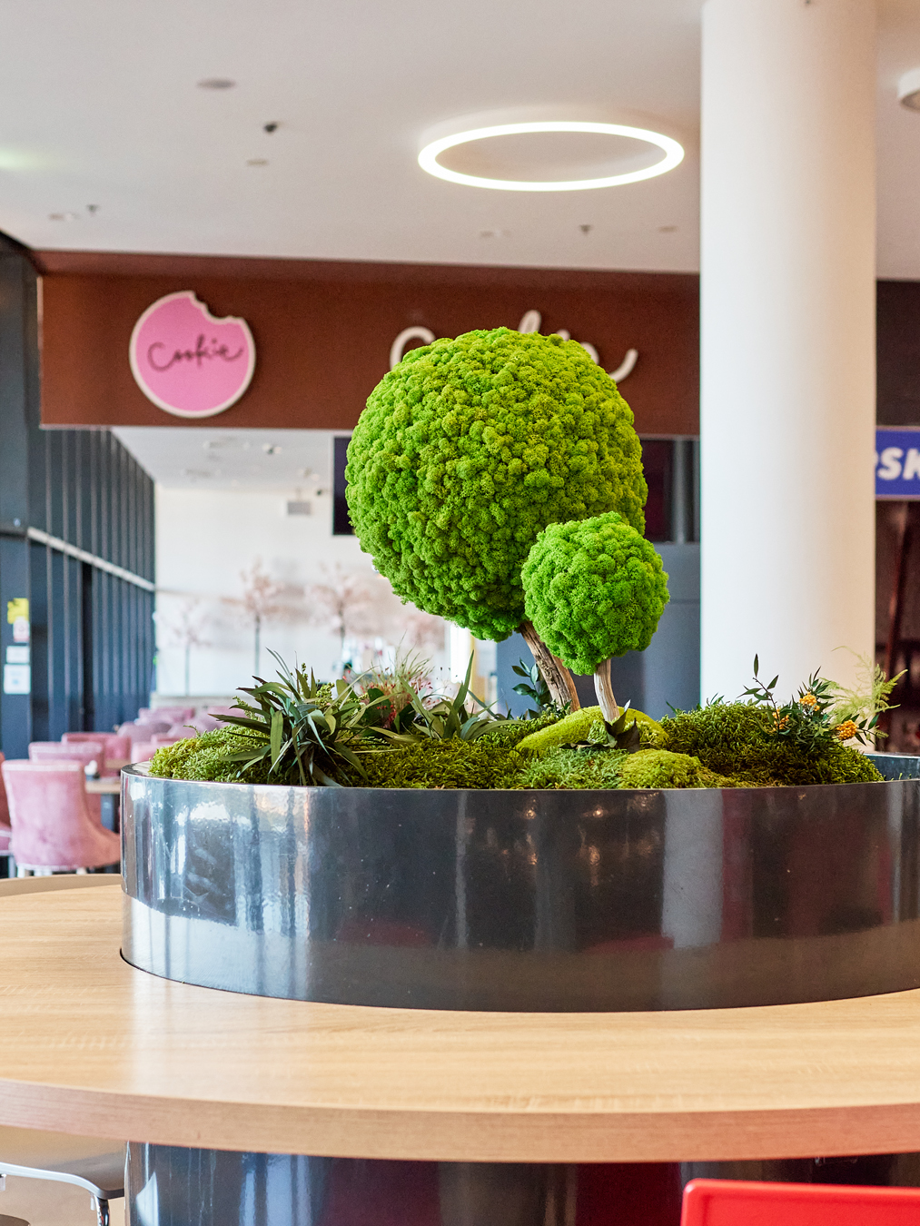 Biljke za žardinjere