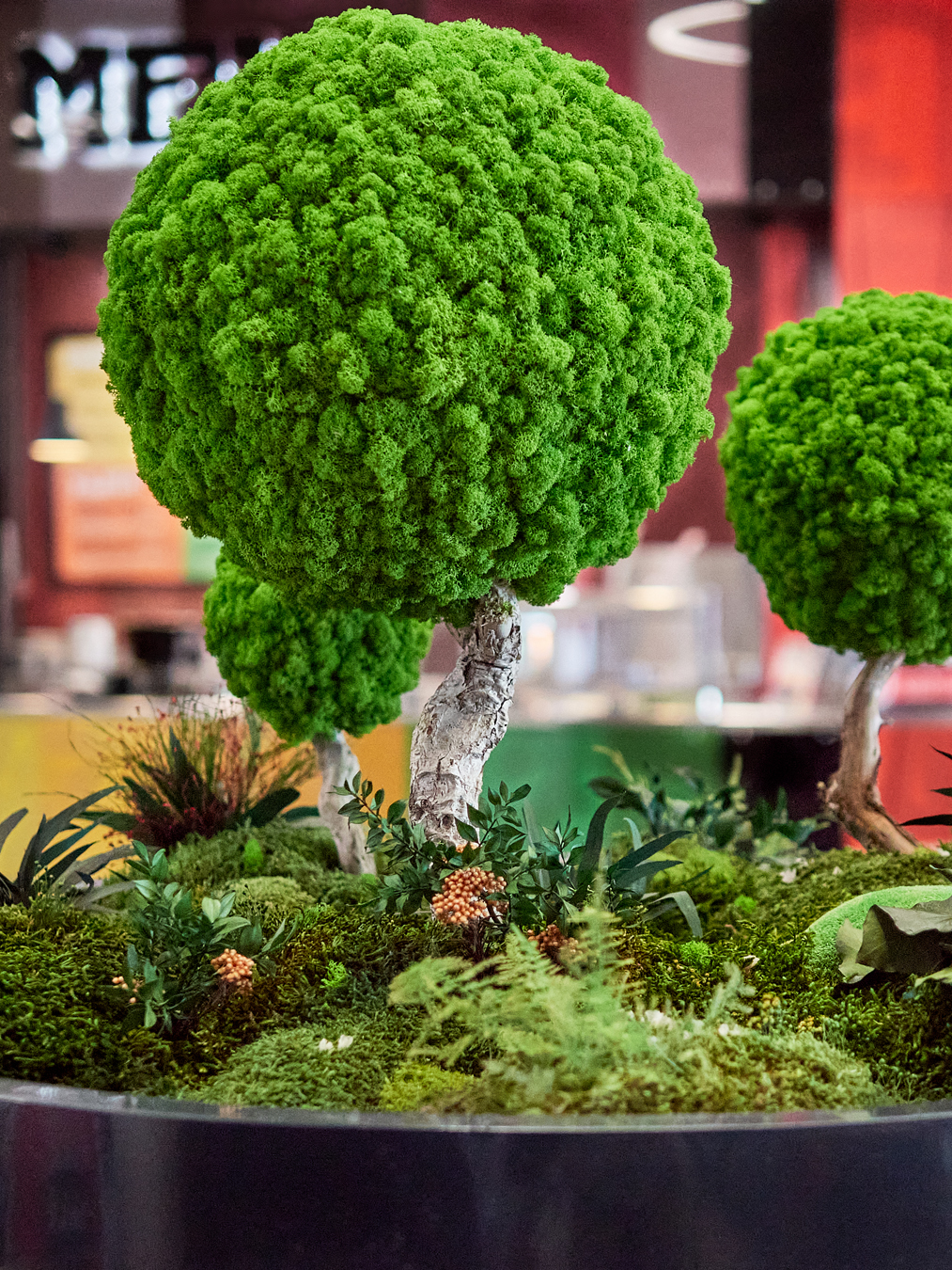 Stabilizirana mahovina