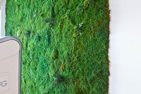 green-touch-relab-projekt-zeleni-zid